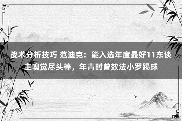 战术分析技巧 范迪克：能入选年度最好11东谈主嗅觉尽头棒，年青时曾效法小罗踢球