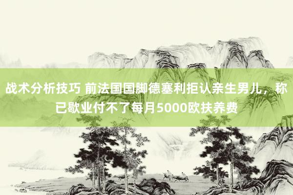 战术分析技巧 前法国国脚德塞利拒认亲生男儿，称已歇业付不了每月5000欧扶养费