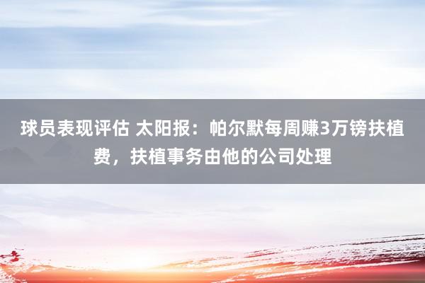 球员表现评估 太阳报：帕尔默每周赚3万镑扶植费，扶植事务由他的公司处理