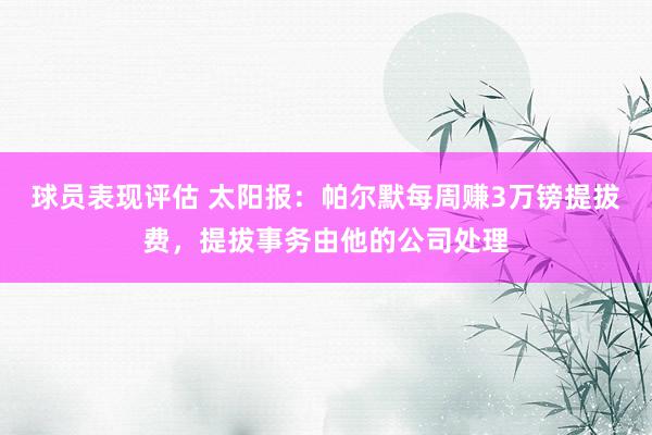 球员表现评估 太阳报：帕尔默每周赚3万镑提拔费，提拔事务由他的公司处理