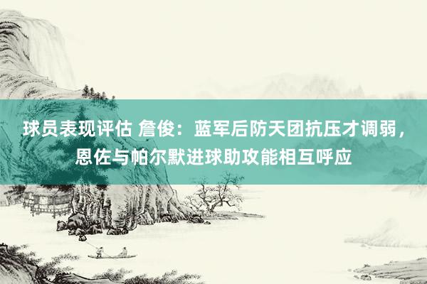 球员表现评估 詹俊：蓝军后防天团抗压才调弱，恩佐与帕尔默进球助攻能相互呼应