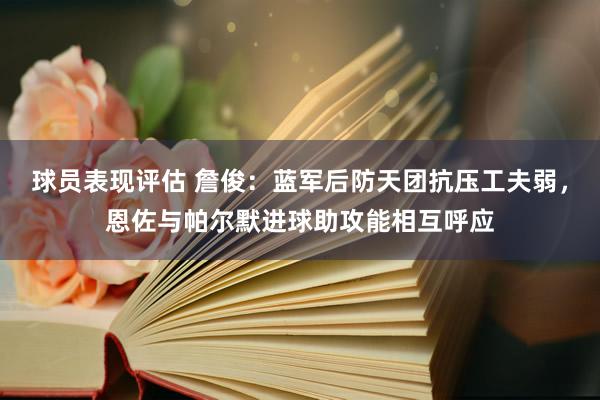 球员表现评估 詹俊：蓝军后防天团抗压工夫弱，恩佐与帕尔默进球助攻能相互呼应